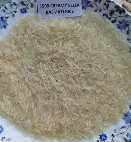 1509 Basmati Rice